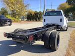 2024 Chevrolet Silverado 5500 Regular Cab DRW 4x2, Cab Chassis for sale #M11804 - photo 7