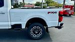 New 2024 Ford F-250 Platinum Crew Cab 4x4, Pickup for sale #REE70995 - photo 20