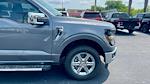 New 2024 Ford F-150 XLT SuperCrew Cab 4x2, Pickup for sale #RFA12241 - photo 3