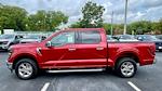2024 Ford F-150 SuperCrew Cab 4x2, Pickup for sale #RFA57660 - photo 14