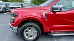 2024 Ford F-150 SuperCrew Cab 4x2, Pickup for sale #RFA57660 - photo 15