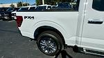 New 2024 Ford F-150 XLT SuperCrew Cab 4x4, Pickup for sale #RFA98061 - photo 5