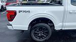 New 2024 Ford F-150 Platinum SuperCrew Cab 4x4, Pickup for sale #RFB03364 - photo 6