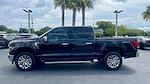 New 2024 Ford F-150 XLT SuperCrew Cab 4x4, Pickup for sale #RKD80039 - photo 16