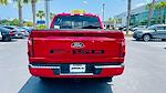 New 2024 Ford F-150 XLT SuperCrew Cab 4x2, Pickup for sale #RKD83666 - photo 12