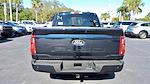 New 2024 Ford F-150 XLT SuperCrew Cab 4x2, Pickup for sale #RKF27499 - photo 11