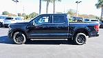 New 2024 Ford F-150 XLT SuperCrew Cab 4x2, Pickup for sale #RKF27499 - photo 14