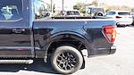 New 2024 Ford F-150 XLT SuperCrew Cab 4x2, Pickup for sale #RKF27499 - photo 16