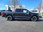 New 2024 Ford F-150 XLT SuperCrew Cab 4WD, Pickup for sale #LFO240180 - photo 7