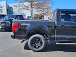 New 2024 Ford F-150 XLT SuperCrew Cab 4WD, Pickup for sale #LFO240322 - photo 6