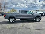 New 2024 Ford F-150 XLT SuperCrew Cab 4WD, Pickup for sale #LFO240437 - photo 6