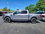 New 2024 Ford F-150 XLT SuperCrew Cab 4WD, Pickup for sale #LFO240551 - photo 6