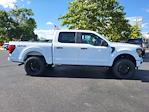 New 2024 Ford F-150 STX SuperCrew Cab 4WD, Pickup for sale #LFO240587 - photo 5