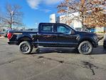 New 2024 Ford F-150 Tremor SuperCrew Cab 4WD, Pickup for sale #LFO241261 - photo 7