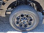 2024 Ford F-350 Crew Cab SRW 4x4, Pickup for sale #66890 - photo 16