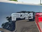 New 2024 Ford F-150 XLT SuperCrew Cab 4x4, Pickup for sale #68765 - photo 12