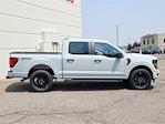 New 2024 Ford F-150 STX SuperCrew Cab 4WD, Pickup for sale #68891 - photo 3