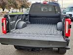 2024 Ford F-350 Crew Cab SRW 4x4, Pickup for sale #69762 - photo 14