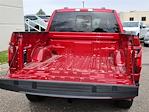 New 2024 Ford F-150 XLT SuperCrew Cab 4x4, Pickup for sale #69677 - photo 17