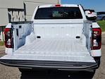 New 2024 Ford Ranger XLT SuperCrew Cab 4x4, Pickup for sale #69689 - photo 13