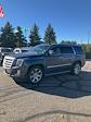 2019 Cadillac Escalade 4x4, SUV for sale #L5300A - photo 3