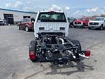 2024 Ford F-250 Regular Cab 4x4, Cab Chassis for sale #24T1813 - photo 3