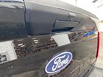 2024 Ford F-150 Regular Cab 4x2, Pickup for sale #24T2115 - photo 14