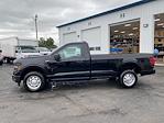 2024 Ford F-150 Regular Cab 4x2, Pickup for sale #24T2115 - photo 3