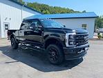 2024 Ford F-250 Crew Cab 4x4, Pickup for sale #24T2020 - photo 8