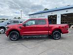 2024 Ford F-150 SuperCrew Cab 4x4, Pickup for sale #24T2161 - photo 6