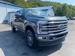 2024 Ford F-350 Crew Cab SRW 4x4, Pickup for sale #24F2201 - photo 9