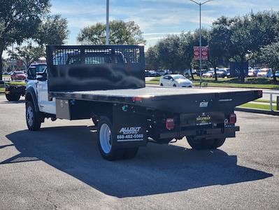 New 2024 Ford F-450 Regular Cab RWD, Flatbed Truck for sale #RDA11789 - photo 2