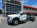 2024 Ford F-450 Regular Cab DRW 4x2, Cab Chassis for sale #309195 - photo 1