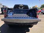 2024 Ram 2500 Mega Cab 4WD, Pickup for sale #C24269 - photo 9