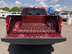 2025 Ram 1500 Quad Cab 4WD, Pickup for sale #C25023 - photo 17