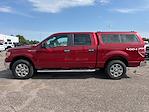 Used 2014 Ford F-150 XLT SuperCrew Cab 4x4, Pickup for sale #MBUT9912 - photo 5