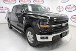 New 2024 Ford F-150 XLT SuperCrew Cab 4x4, Pickup for sale #R100840 - photo 1