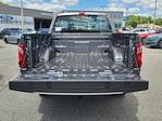 New 2024 Ford F-150 XL SuperCrew Cab 4x4, Pickup for sale #4R5515 - photo 8