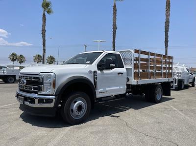 2024 Ford F-450 Regular Cab DRW RWD, Scelzi WFB