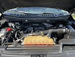 2018 Ford F-150 SuperCrew Cab SRW RWD, Pickup for sale #V64348 - photo 23