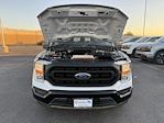 2021 Ford F-150 Regular Cab RWD, Pickup for sale #V65420 - photo 22