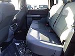 2023 Ford F-150 SuperCrew Cab 4x2, Pickup for sale #84603 - photo 7