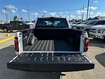 2024 Ford F-150 SuperCrew Cab 4x2, Pickup for sale #RKE82120 - photo 8