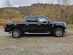 2023 Ford F-150 SuperCrew Cab 4x4, Pickup for sale #5F7880 - photo 4