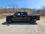 2024 Ford F-150 SuperCrew Cab 4x4, Pickup for sale #5F8322 - photo 10