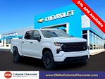 New 2024 Chevrolet Silverado 1500 Custom Crew Cab 4x4, Pickup for sale #C5851 - photo 1