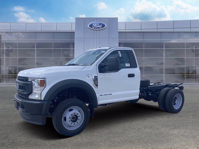 Ford Work Trucks & Vans 