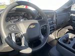2024 Chevrolet Silverado 5500 Regular Cab DRW 4x2, Cab Chassis for sale #C243064 - photo 12