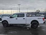 2017 Ford F-150 SuperCrew Cab 4WD, Pickup #1FX9027A - photo 6