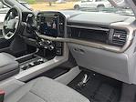 2024 Ford F-150 SuperCrew Cab 4x4, Pickup for sale #FRFA42788 - photo 29